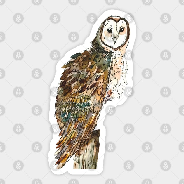 Watercolor Owl Sticker by aquabun